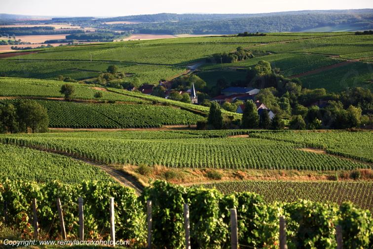Bu� vignoble Sancerrois Cher Berry Centre Val de Loire France www.remylacroixphoto.com