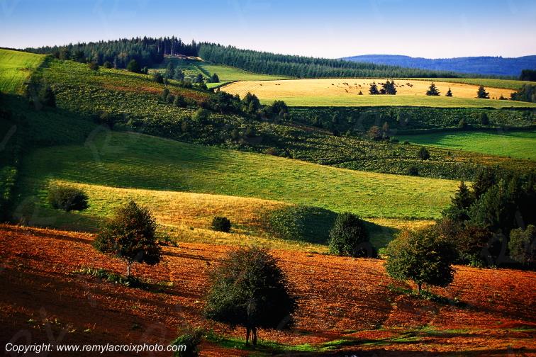 Millevaches Pigerolles Creuse Limousin France www.remylacroixphoto.com
