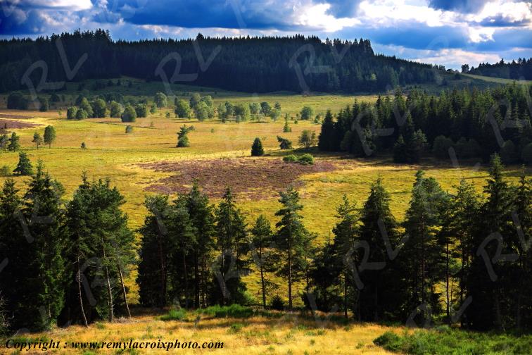 Tourbi�re du Long�roux plateau de Millevaches Corr�ze Limousin France