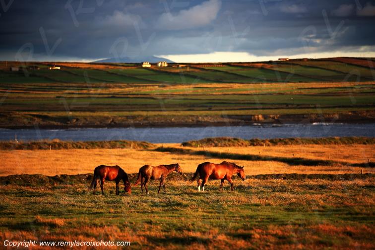 Bridges of Ross,Clare,Irlande