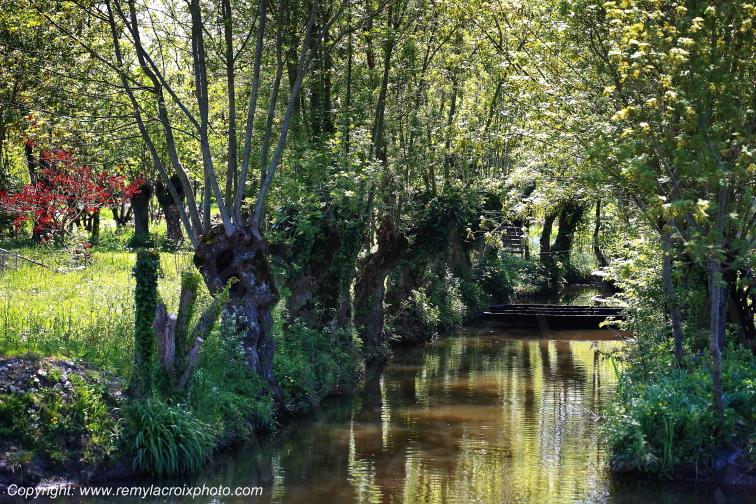 Marais Poitevin Coulon Deux-S�vres Poitou Charentes Nouvelle Aquitaine France www.remylacroixphoto.com