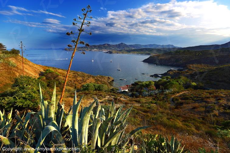Cap B�ar Pyr�n�es Orientales Occitanie Languedoc Roussillon France www.remylacroixphoto.com