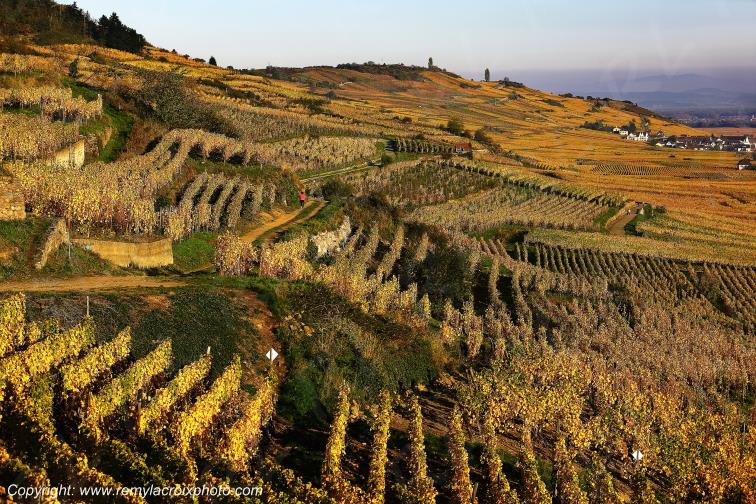 Kaysersberg vignoble Haut-Rhin Alsace France www.remylacroixphoto.com