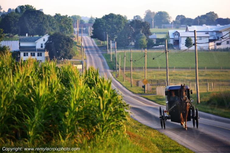 Lancaster Dutch County Paradise Amish Buggy Pennsylvania Pennsylvanie USA ww.remylacroixphoto.com