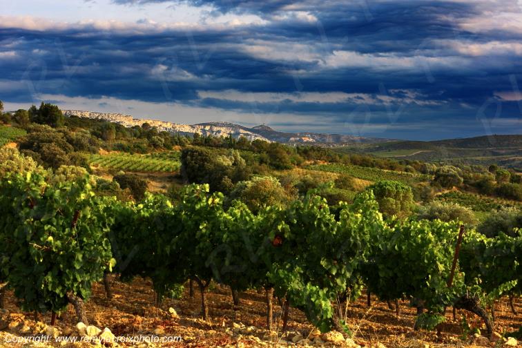 La Tour del Far Haut Fitou vignoble Corbi�res Aude Occitanie France www.remylacroixphoto.com