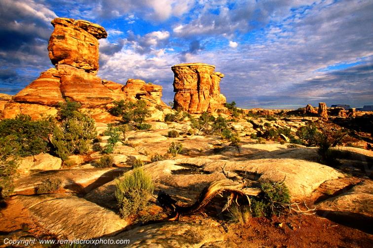 The Needles Canyonlands National Park Utah USA www.remylacroixphoto.com