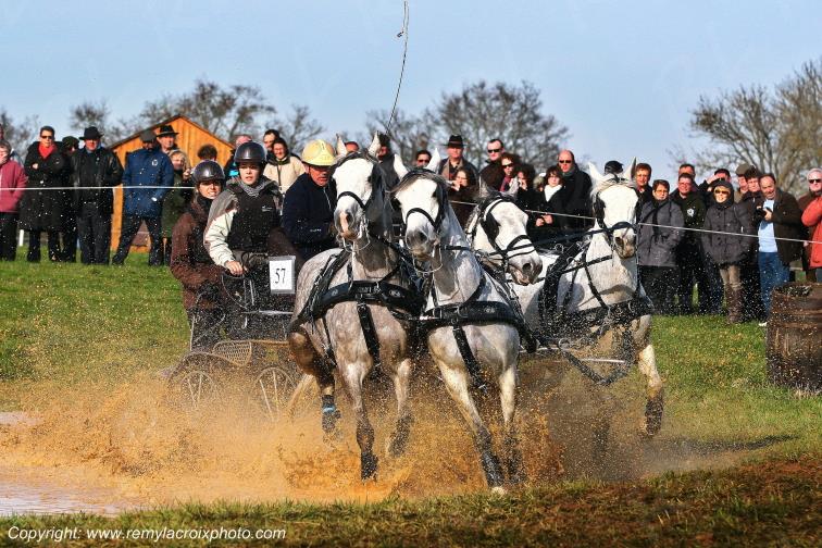 Attelages Championnat de France Attelage P�le du cheval et de l'�ne Ligni�res Cher Berry France www.remylacroixphoto.com
