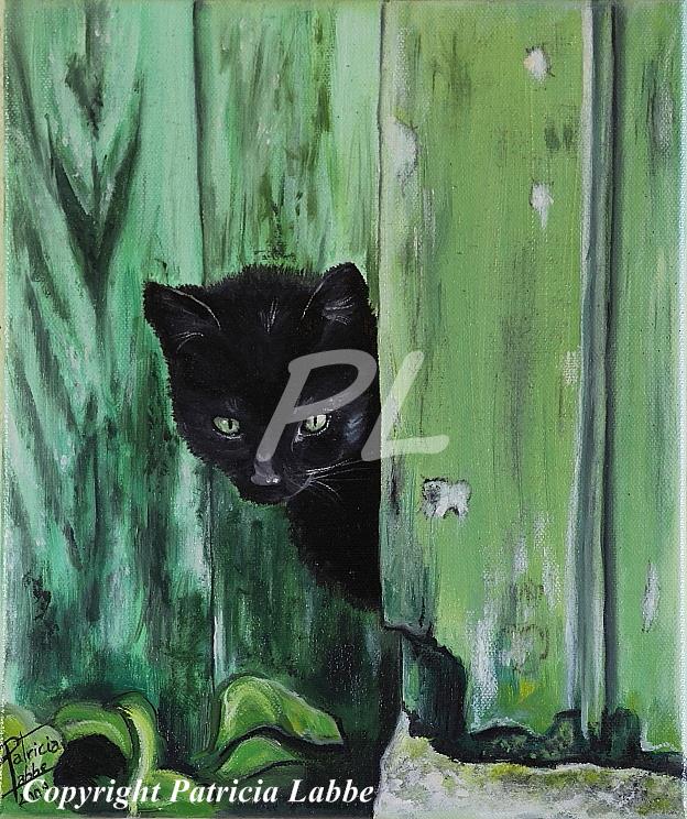 Le chat noir timide - Huile sur toile - Format 25x30 cm