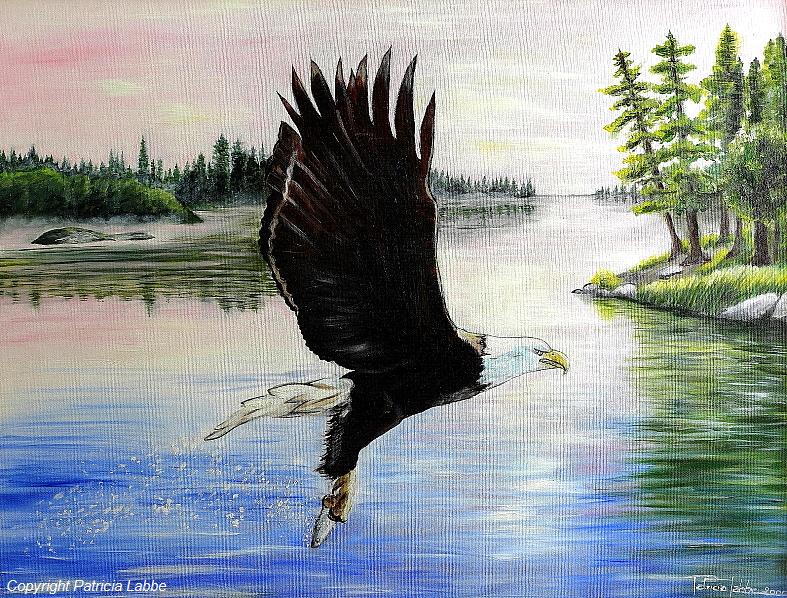 L'envol de l'aigle p�cheur d'Am�rique. Huile sur carton entoil� - Format 65x50 cm
