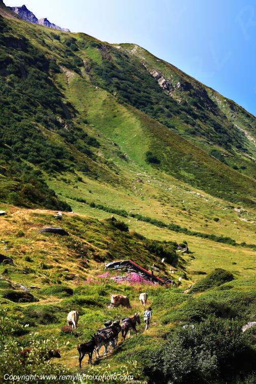 Nufenenpass Tessin Suisse Swiss Switzerland www.remylacroixphoto.com