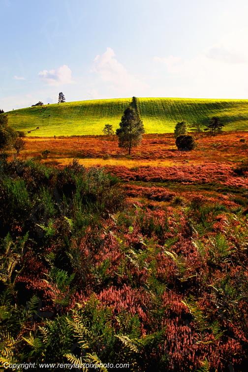 Millevaches F�niers Creuse Limousin France www.remylacroixphoto.com