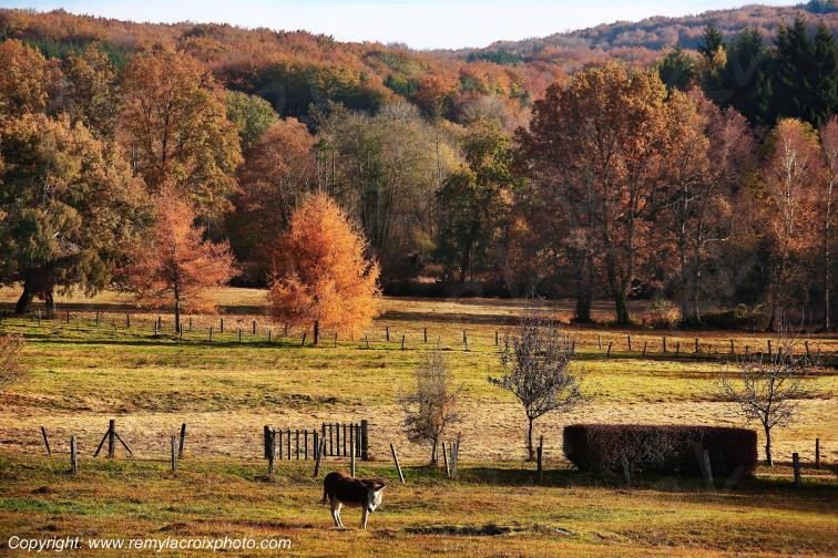Saint Brisson Maison du Parc Morvan Ni�vre Bourgogne Franche Comt� France www.remylacroixphoto.com