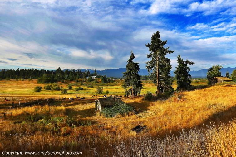 Dungeness Washington USA www.remylacroixphoto.com