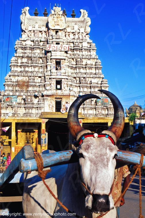 Ramanatha Swami Temple Rameshwaram Tamil Nadu India Inde www.remylacroixphoto.com