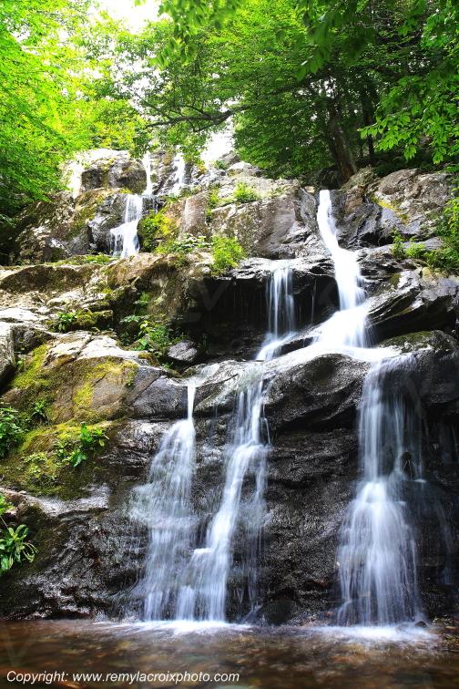 Dark Hollow Falls Shenandoah National Park Virginia Virginie USA www.remylacroixphoto.com
