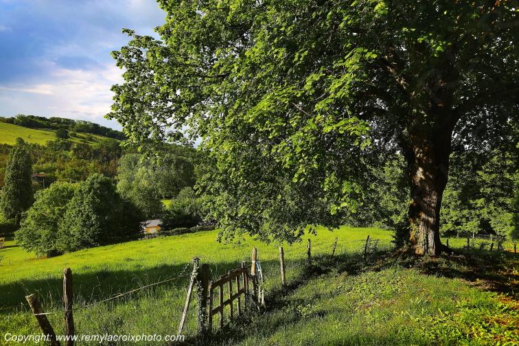 Salon de Vergt Dordogne Nouvelle Aquitaine France www.remylacroixphoto.com