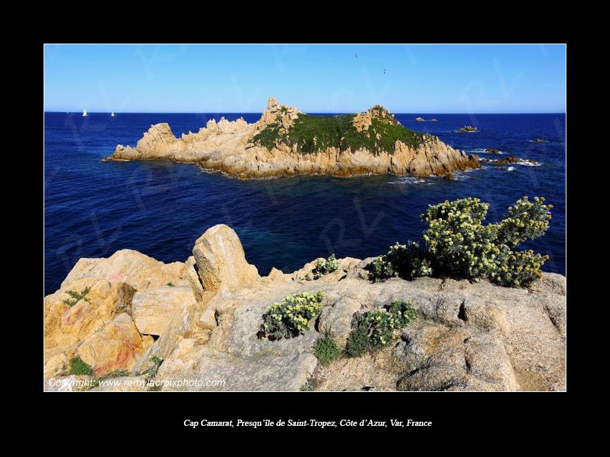 Cap Camarat,Presqu'�le de Saint-Tropez,C�te d'Azur,Var,France