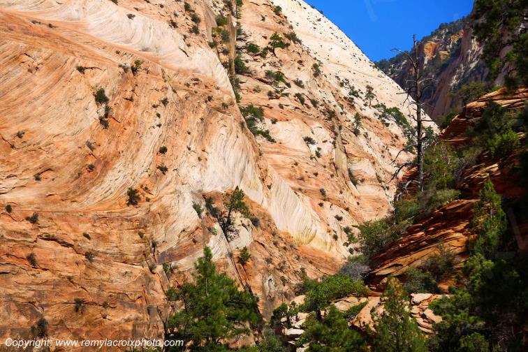 Mount Carmel Highway Zion National Park Utah USA