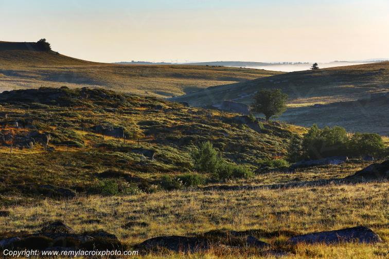 Col de Bonnecombe Aubrac Loz�re Languedoc-Roussillon Occitanie France www.remylacroixphoto.com