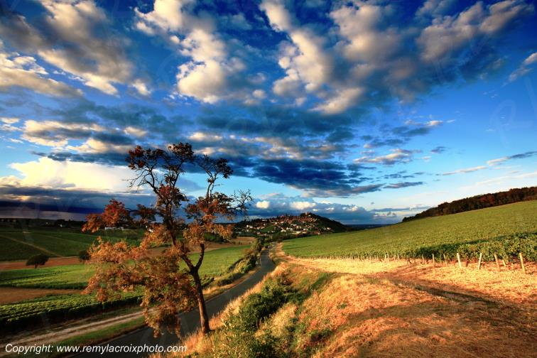Sancerre le Piton Sancerrois Cher Berry Centre Val de Loire France