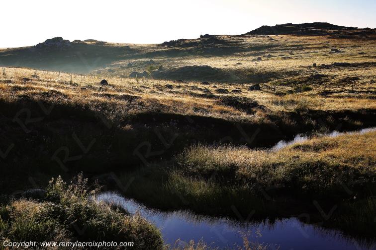 Col de Bonnecombe Aubrac Loz�re Languedoc-Roussillon Occitanie France www.remylacroixphoto.com