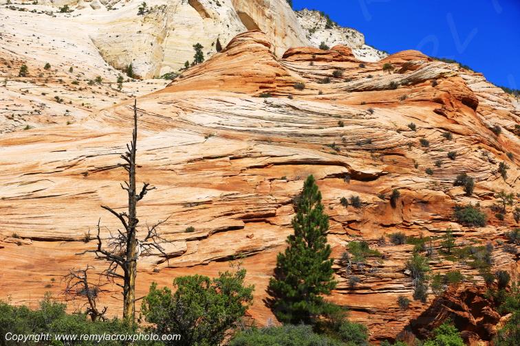 Mount Carmel Highway Zion National Park Utah USA www.remylacroixphoto.com