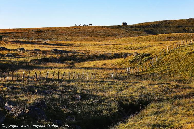 Col de Bonnecombe Aubrac Loz�re Languedoc-Roussillon Occitanie France www.remylacroixphoto.com