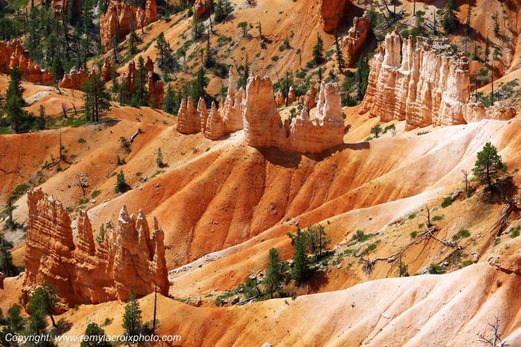 Sunrise Point Bryce Canyon National Park Utah USA