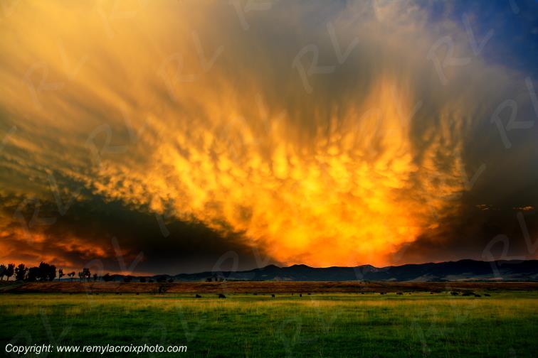Rocky Mountains Hamilton Montana USA www.remylacroixphoto.com