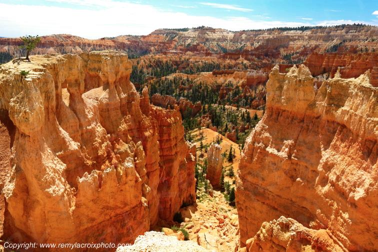 Sunrise Point Bryce Canyon National Park Utah USA