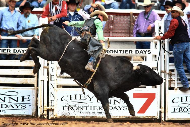 Cheyenne Frontier Days rodeo Bull Riding Wyoming USA www.remylacroixphoto.com