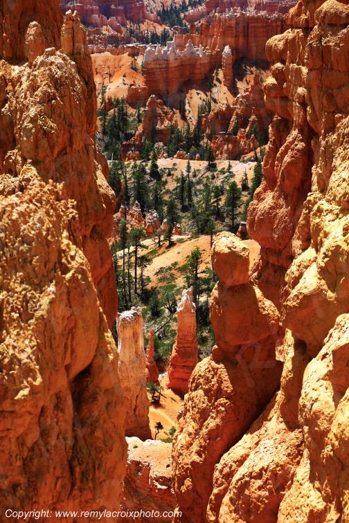 Queen's Garden Trail Bryce Canyon National Park Utah USA