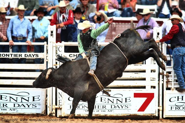 Cheyenne Frontier Days rodeo Bull Riding Wyoming USA www.remylacroixphoto.com