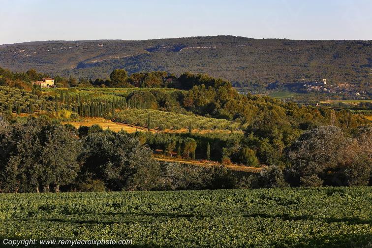 Roussillon Lub�ron Vaucluse Provence Alpes C�te d'Azur PACA France www.remylacroixphoto.com