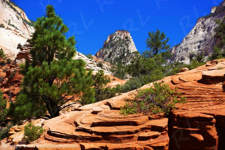 Mount Carmel Highway Zion National Park Utah USA