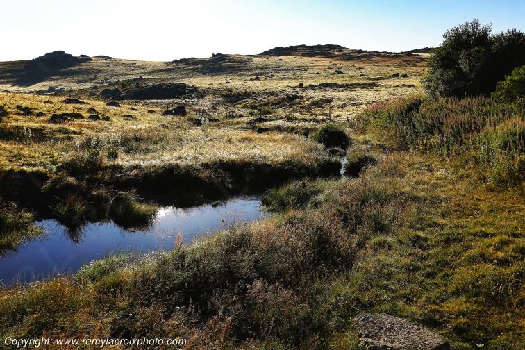 Col de Bonnecombe Aubrac Loz�re Languedoc-Roussillon Occitanie France www.remylacroixphoto.com