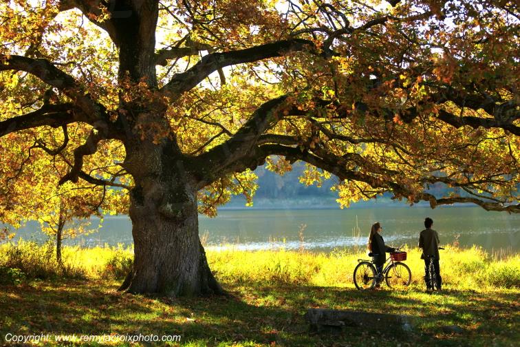 Tron�ais Rond des P�cheurs �tang de Pirot Allier Auvergne Rh�ne-Alpes France www.remylacroixphoto.com