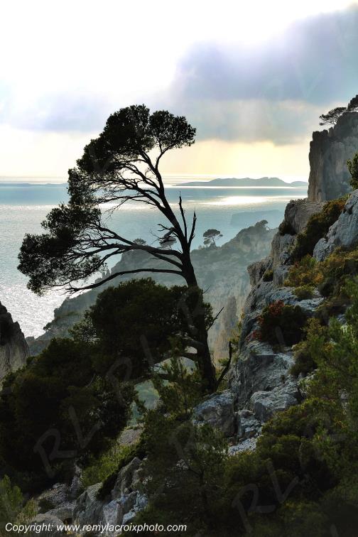 Parc National des Calanques Cassis Bouches du Rh�ne Provence Alpes C�te d'Azur France PACA www.remylacroixphoto.com
