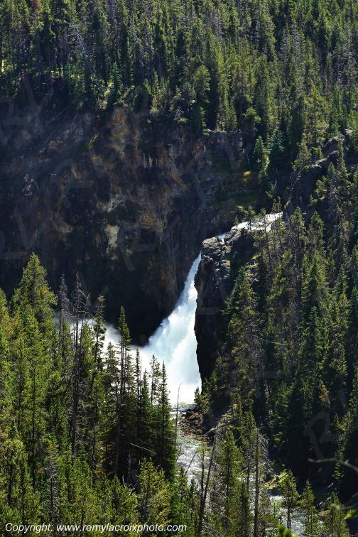 Grand Canyon Yellowstone National Park Wyoming USA www.remylacroixphoto.com