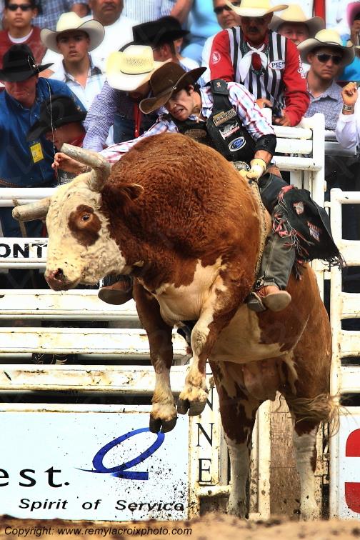 Cheyenne Frontier Days rodeo Bull Riding Wyoming USA www.remylacroixphoto.com