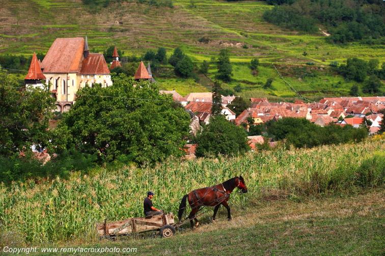 Biertan Transylvanie Romania Roumanie www.remylacroixphoto.com