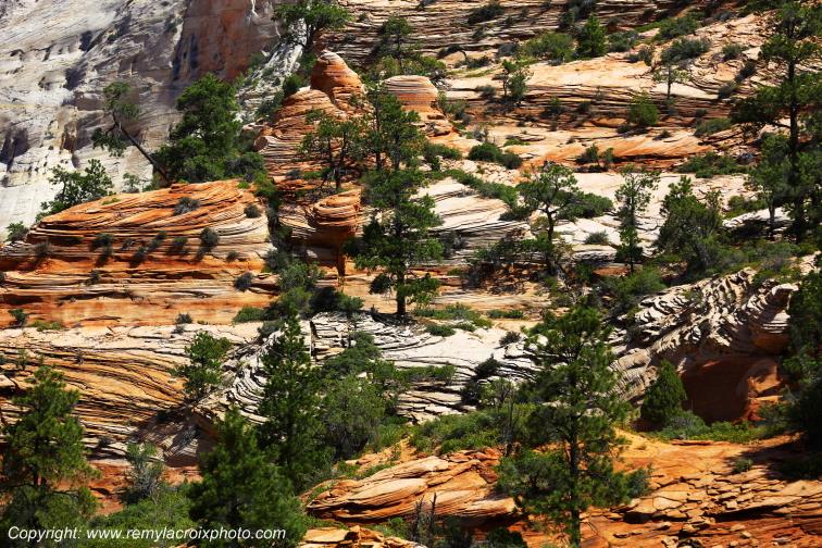 Mount Carmel Highway Zion National Park Utah USA