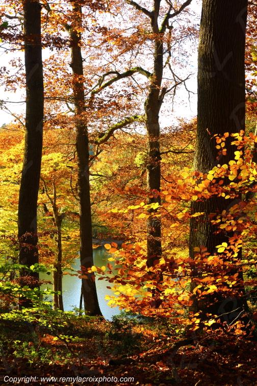 Tron�ais �tang de Pirot Allier Auvergne Rh�ne-Alpes France www.remylacroixphoto.com