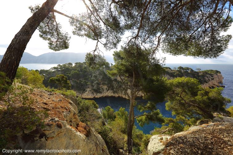 Calanque de Port-Pin Bouches du Rh�ne Provence Alpes C�te d'Azur PACA France www.remylacroixphoto.com