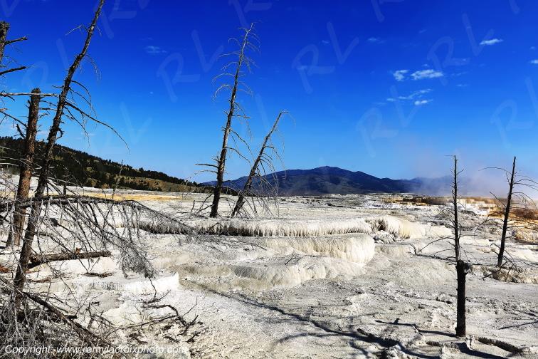 Mammoth Hot Springs Yellowstone National Park Wyoming USA www.remylacroixphoto.com