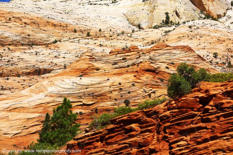 Mount Carmel Highway Zion National Park Utah USA