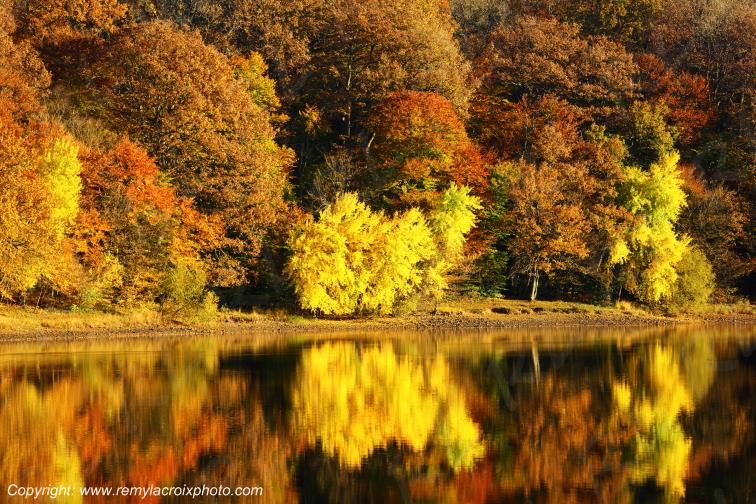 Tron�ais �tang de Pirot Allier Auvergne Rh�ne-Alpes France www.remylacroixphoto.com
