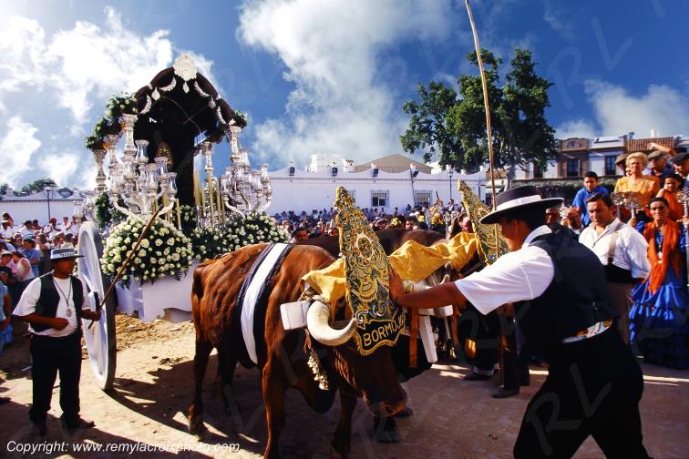 Romeria del Rocio R�ception solennelle Andalousie Espagne Spain Espana www.remylacroixphoto.com #elrocio