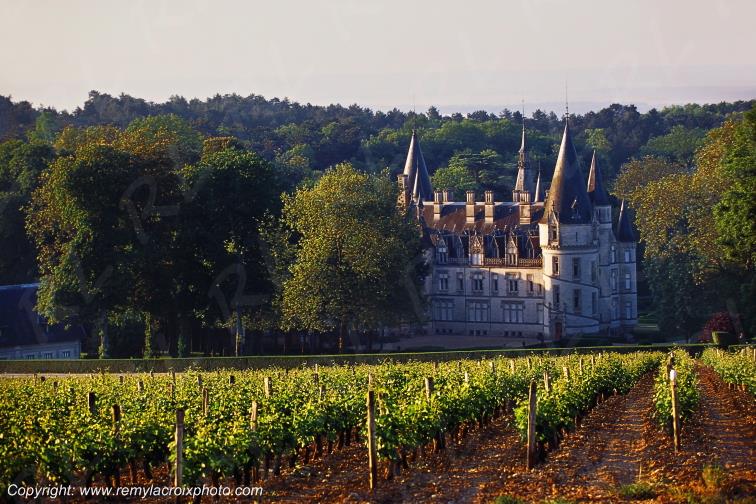 Pouilly sur Loire vignoble ch�teau de Ladoucette Ni�vre Bourgogne France www.remylacroixphoto.com