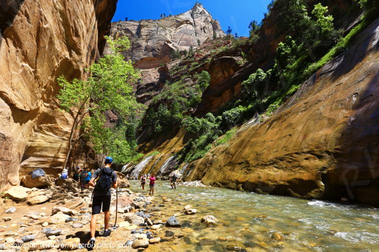 Riverside Walk Zion National Park Utah USA